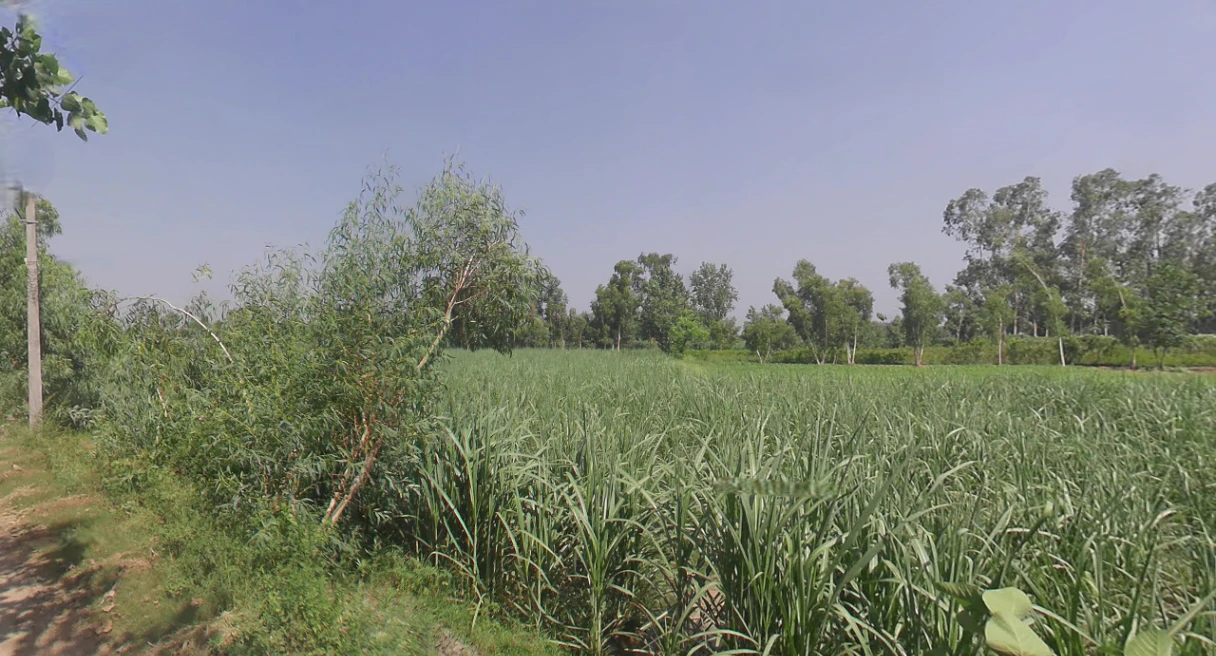 Moradabad, Uttar Pradesh, India