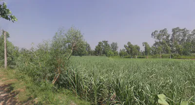 Moradabad, Uttar Pradesh, India preview 2