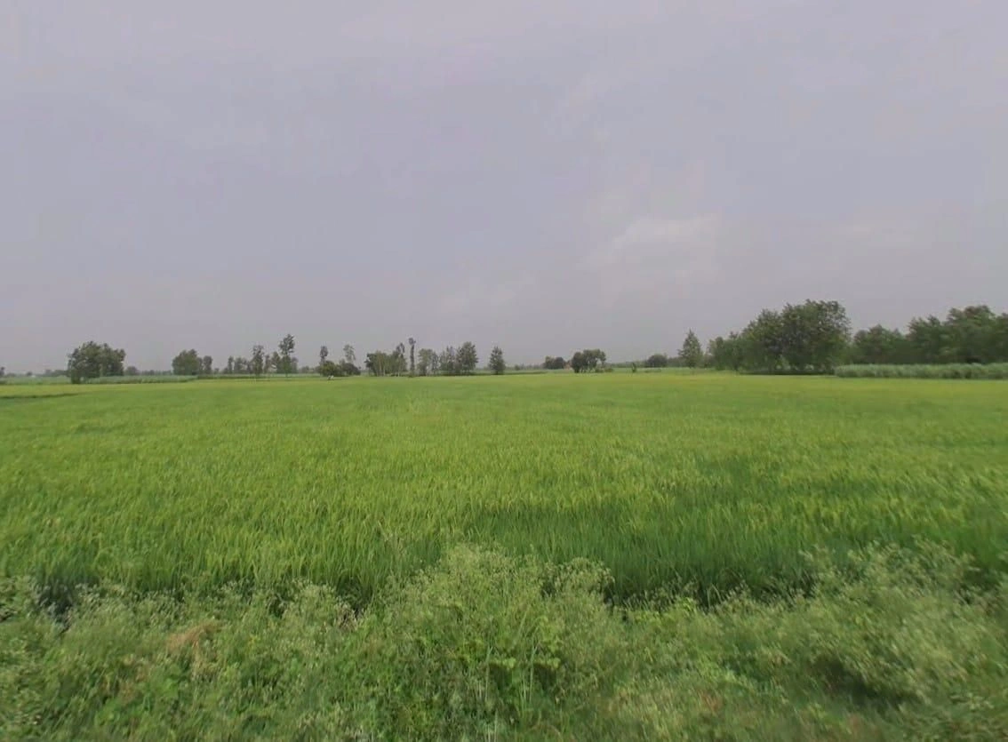 QXH8+F2 Firozpur Jhirka, Haryana, India