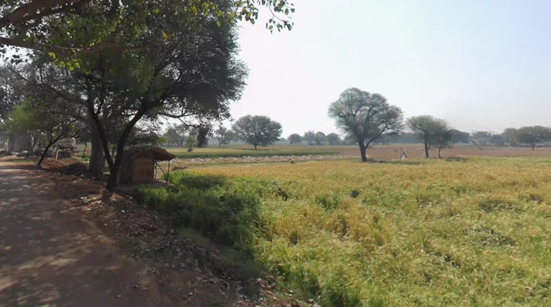 Bahadurpur, Rajasthan 301409, India preview 3