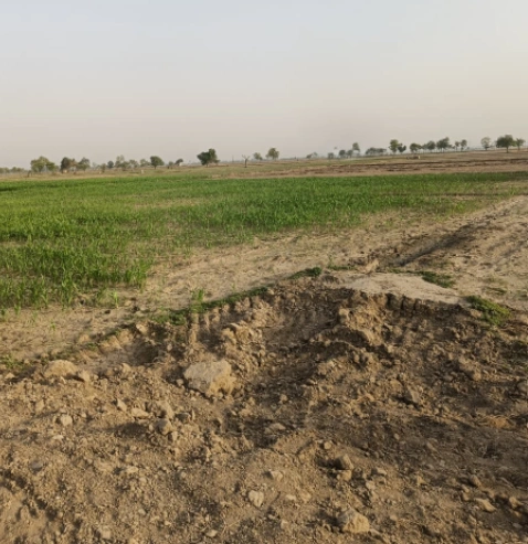 Panwari Rd, Panwari, Uttar Pradesh 282007, India