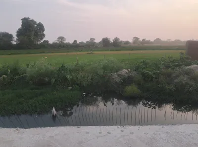 Kaler, Punjab, India preview 3