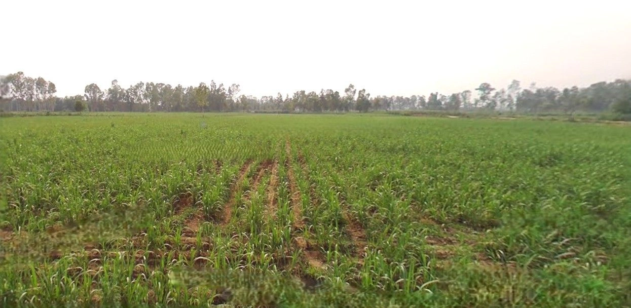 Lalganj, Uttar Pradesh 231211, India