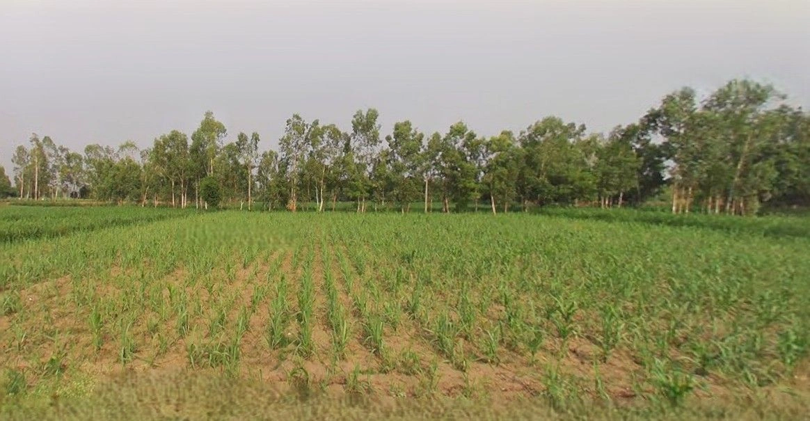 Lalganj, Uttar Pradesh 231211, India