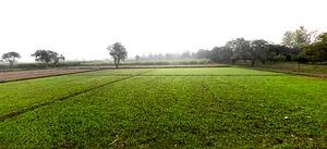 Hasanpur, Uttarakhand 247662, India preview 3