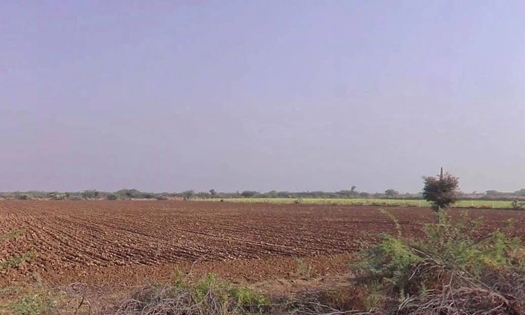 Sadawas, Rajasthan 306401, India