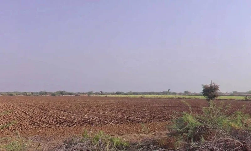 Sadawas, Rajasthan 306401, India preview 3