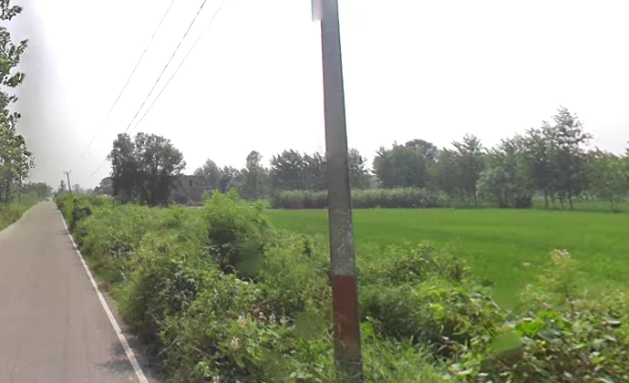 Alampur, Uttar Pradesh 247121, India preview 2