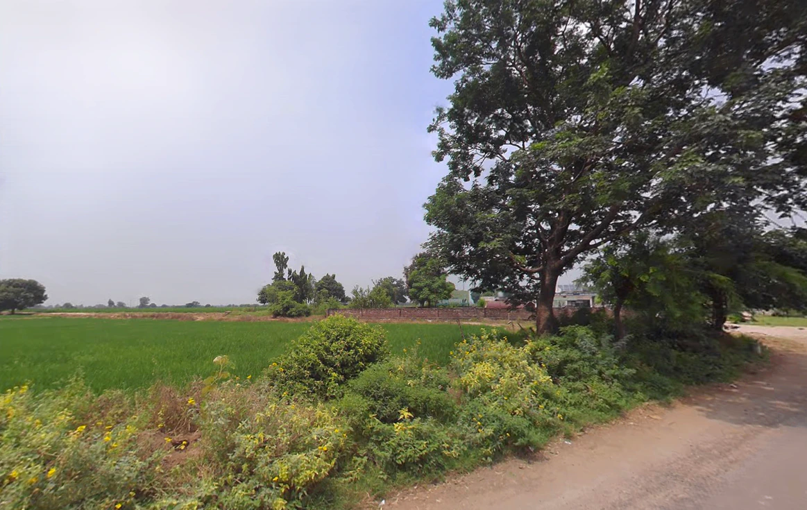 Tibbi Majra, Haryana 134204, India