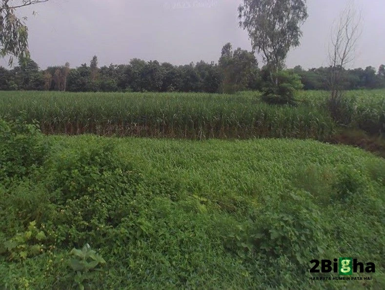 Pithlokar, Uttar Pradesh 250342, India