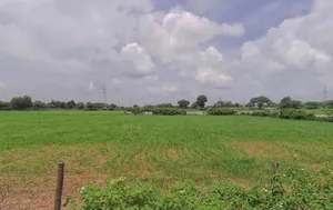 JX9C+GJV, Dheemra, Rajasthan 313601, India preview 2