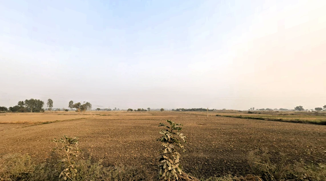 Chiri, Haryana 124514, India