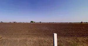 Harij, Gujarat 384240, India preview 3