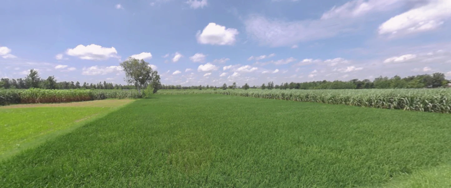 Bhagwanpur, Uttarakhand 247661, India