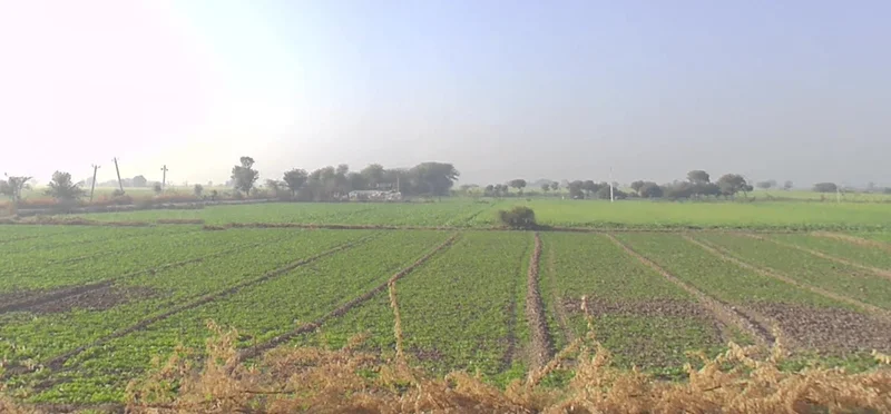 Diggi, Rajasthan 304504, India preview 3