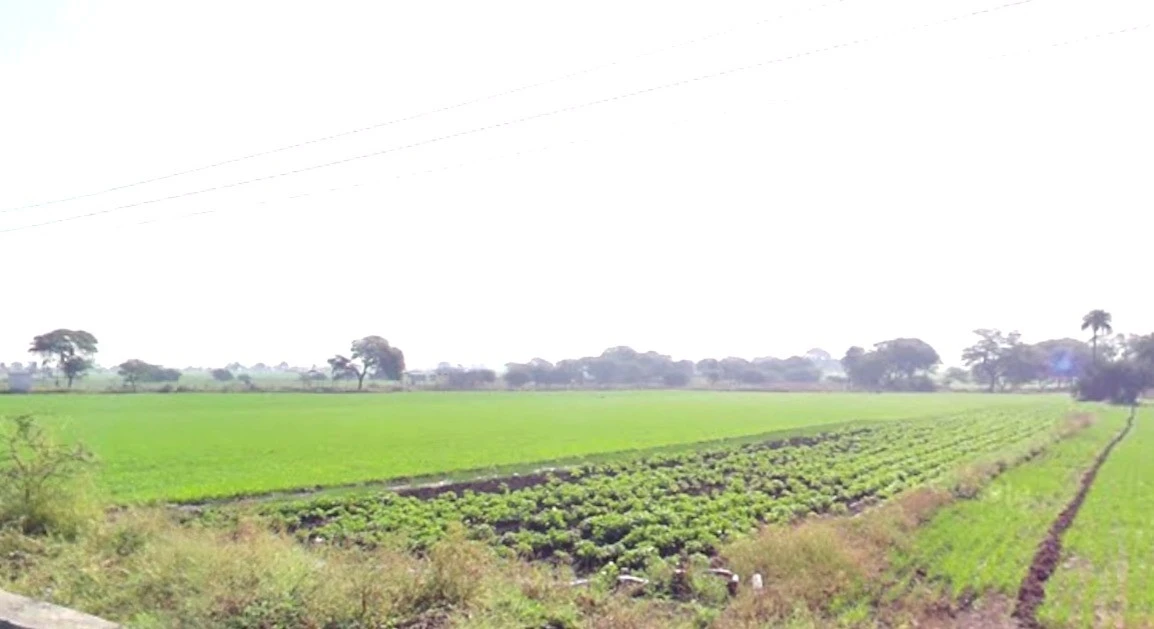 Sahu Khedi, Madhya Pradesh 452016, India