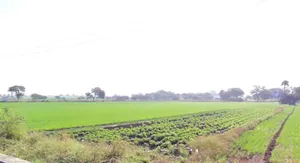 Sahu Khedi, Madhya Pradesh 452016, India preview 2