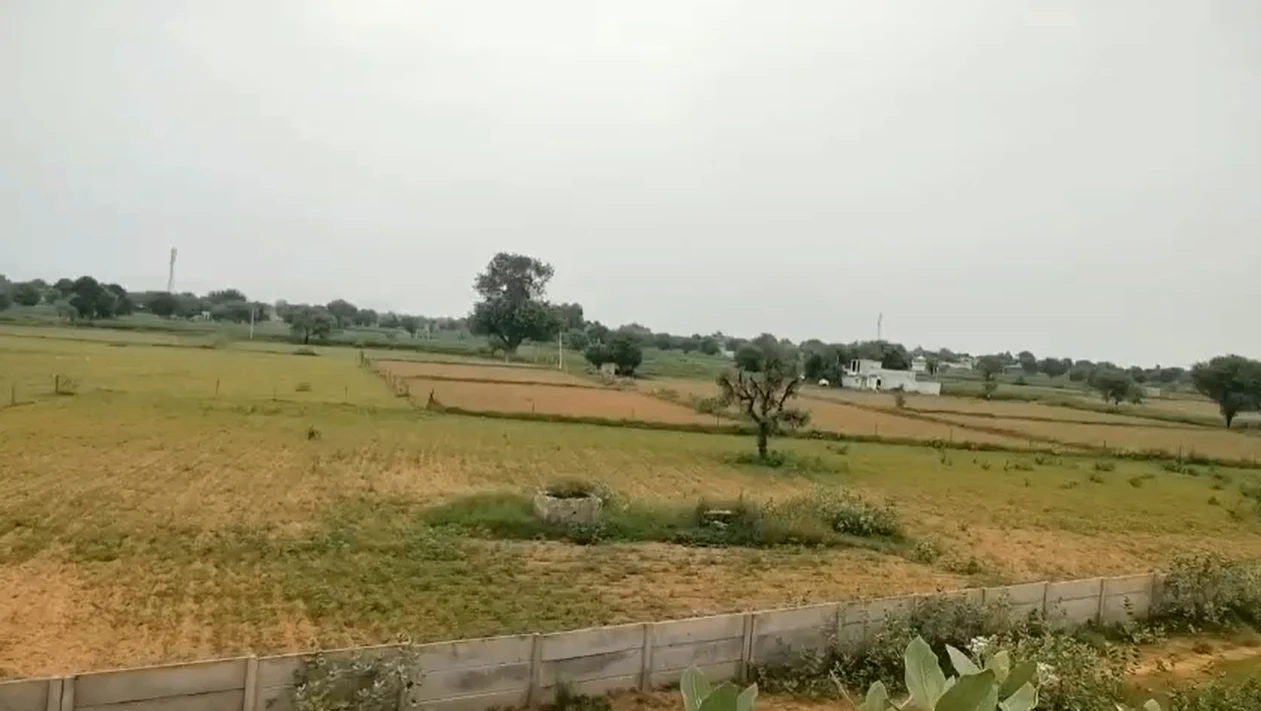 5HVH+PF Maloni, Bharatpur, Rajasthan, India