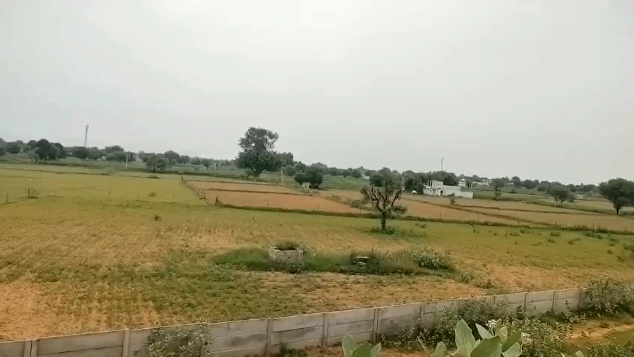 5HVH+PF Maloni, Bharatpur, Rajasthan, India