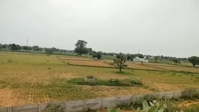 5HVH+PF Maloni, Bharatpur, Rajasthan, India preview 3
