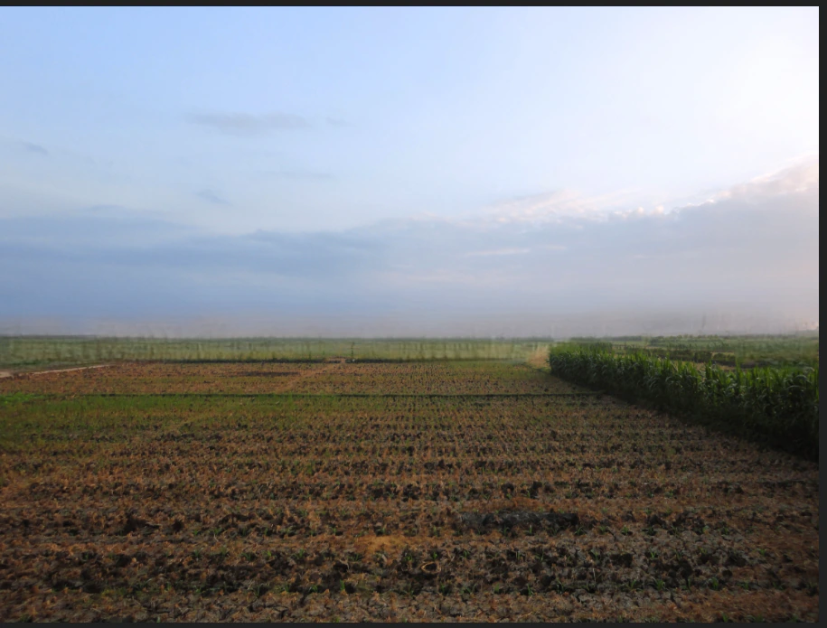 Dhangar, Haryana 125048, India