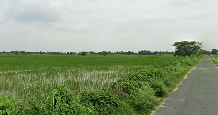 Dhanipur, Aligarh, Uttar Pradesh 202002, India