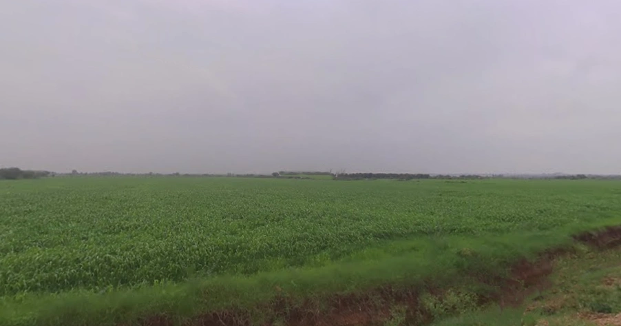 Kekri, Rajasthan 305404, India