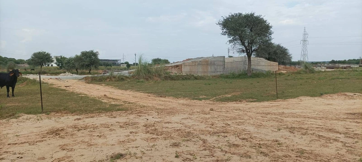 Diggi Malpura Rd, Rajasthan, India