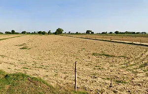 Raya, Uttar Pradesh 281204, India preview 3