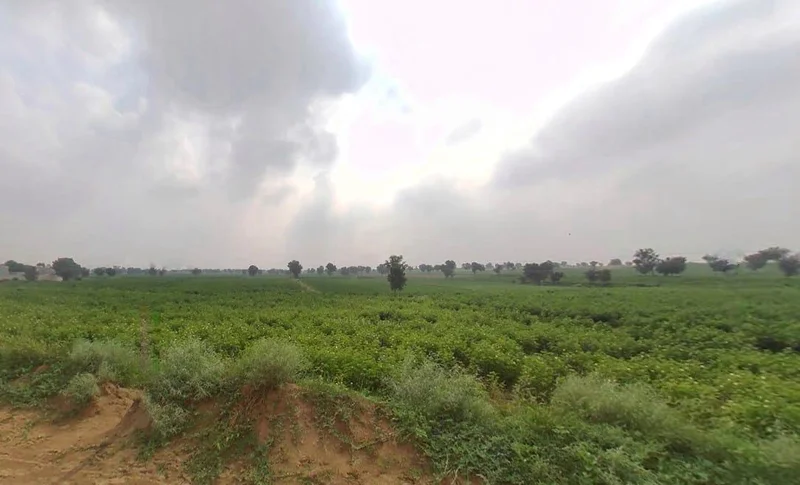 Arjansar, Rajasthan 334604, India preview 2