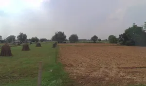 Sohanpur, Rajasthan, India preview 3