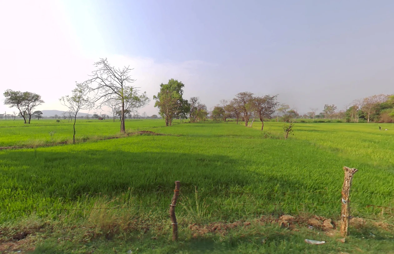 Khallari, Chhattisgarh 493449, India