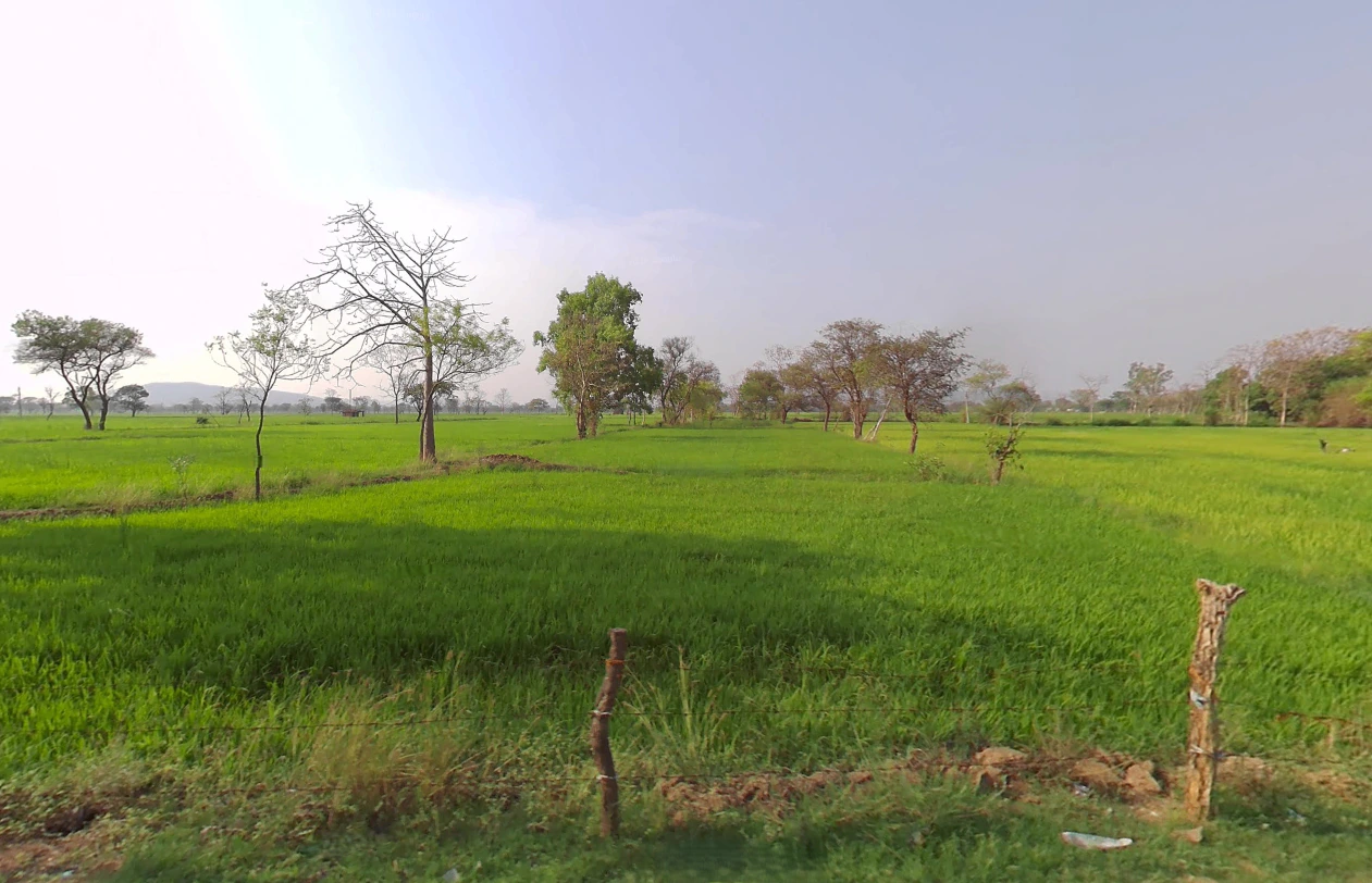 Khallari, Chhattisgarh 493449, India