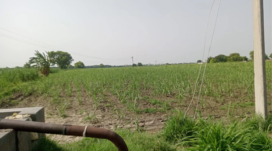 2QCC+W3 Nankund, Khargone, Madhya Pradesh, India