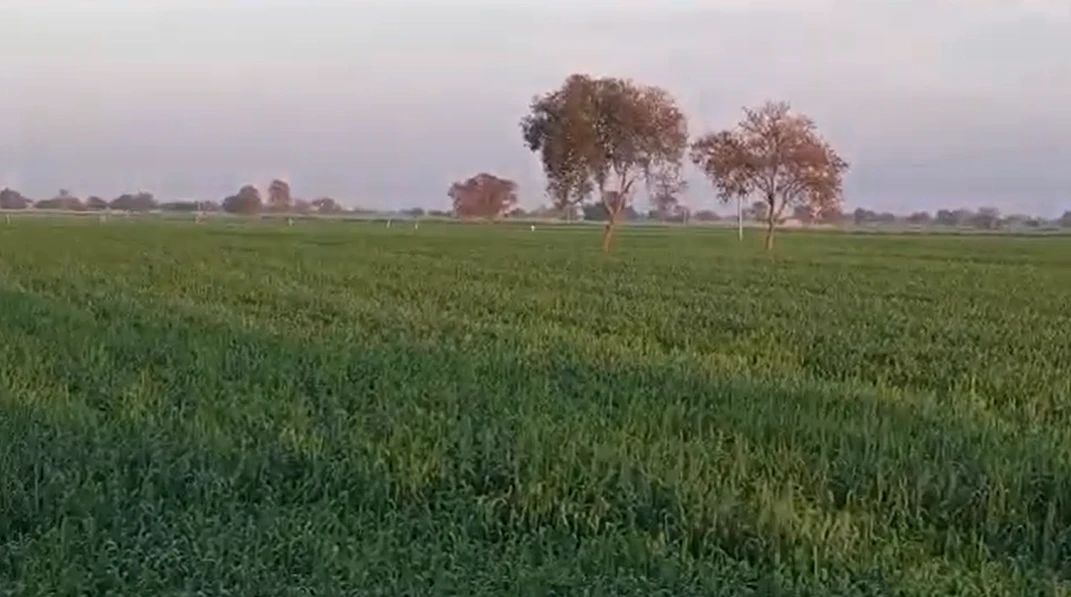 P64V+23V, Hanumangarh, Hirnawali, Rajasthan 335064, India