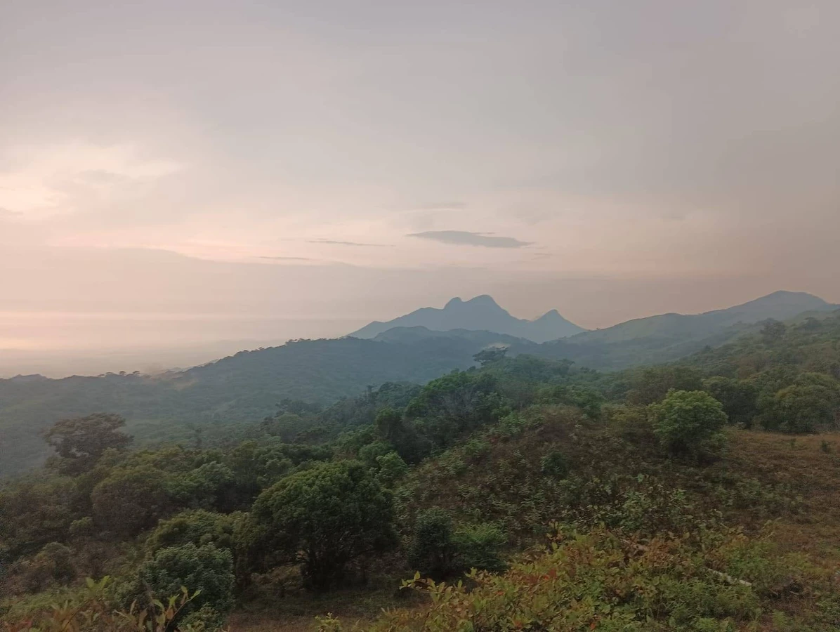HPF4+HP, Hammiyala, Karnataka, India