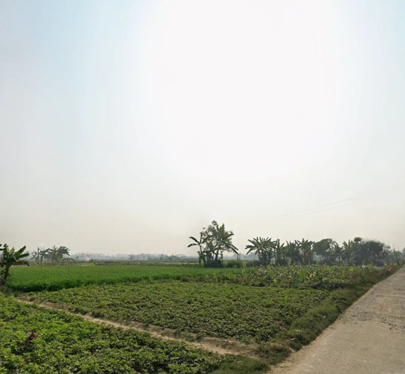 Rajarhat, Kolkata, West Bengal, India