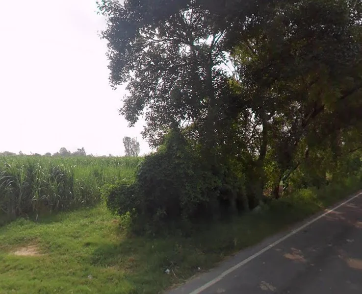 Khirwa Rd, Nangla Tashi, Meerut, Uttar Pradesh, India preview 2