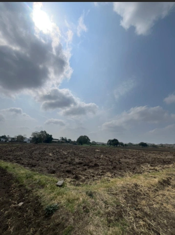 Mothooka, Rajasthan 301405, India