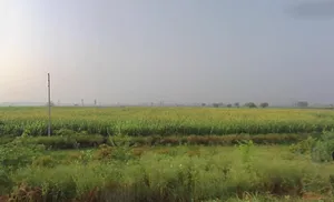 Kalayat, Haryana 136117, India preview 2