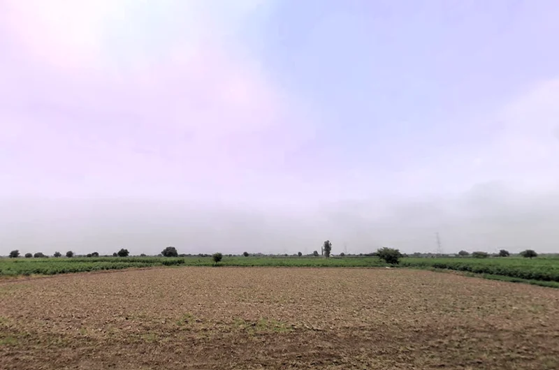 Meham, Haryana 124112, India preview 3