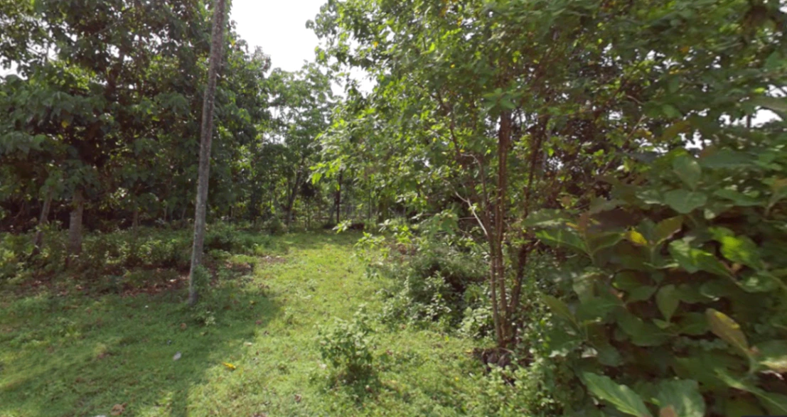 697J+MX3, Karayamparambu, Karukutty, Angamaly, Kerala 683576, India
