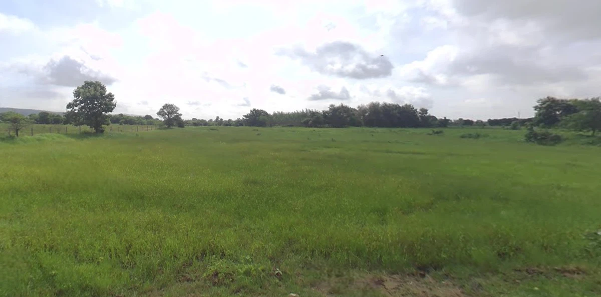 Kadi - Jotana Rd, Chalasan, Gujarat 384421, India