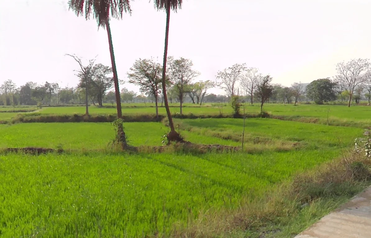 Ataria, Chhattisgarh 491885, India