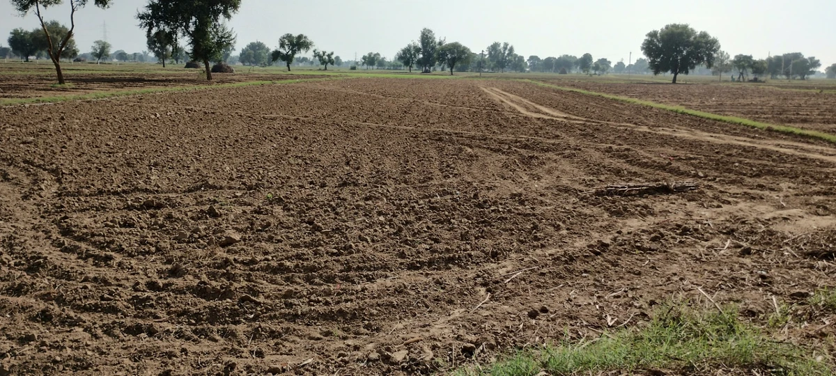 FWR6+JJ5, Gahankar, Rajasthan 301021, India
