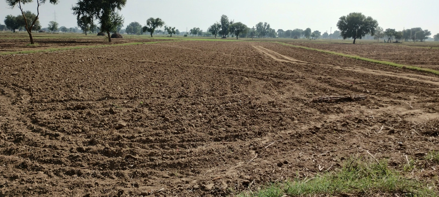 FWR6+JJ5, Gahankar, Rajasthan 301021, India