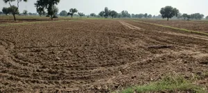 FWR6+JJ5, Gahankar, Rajasthan 301021, India preview 3
