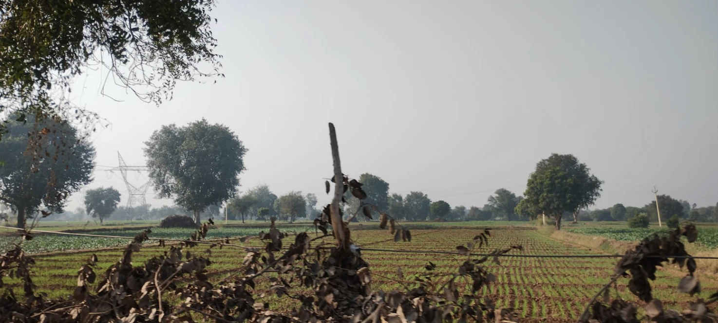 Dhapewada, Kalmeshwar, Maharashtra 441501, India