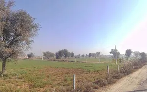 Rangpur, Rajasthan, India preview 2