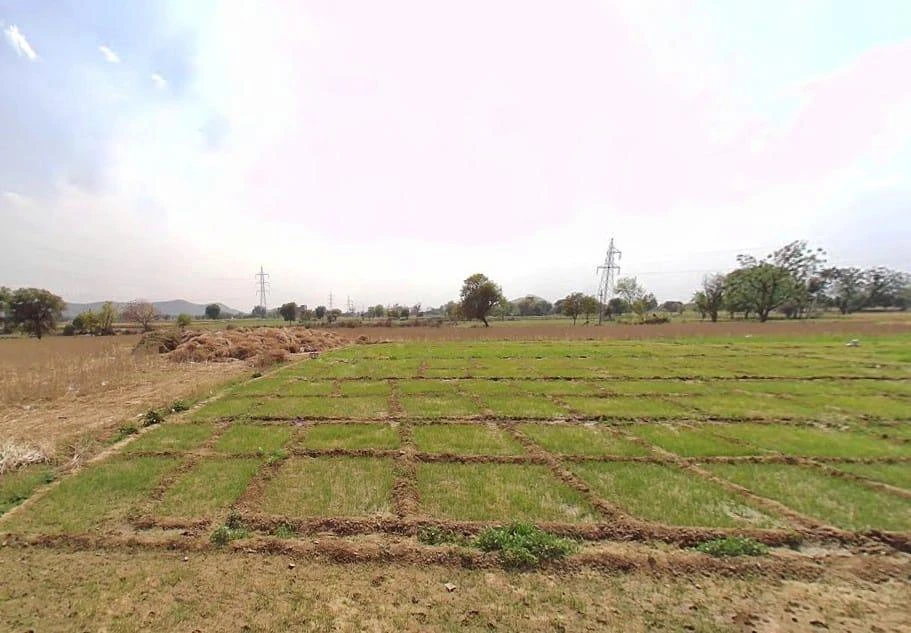 Ghasoli, Rajasthan 301405, India